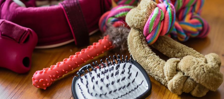 How to Choose the Right Accessory for Your Pet