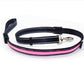 Fluorescent dog collar