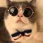 Cat Lion Headgear Cat Hat Cute Funny Pet Photo Props