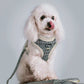Puppy dog leash
